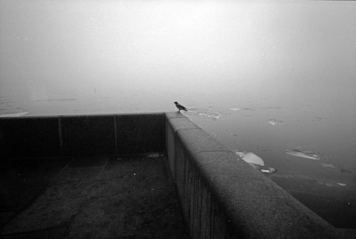 &laquo;&nbsp;Le corbeau de la Neva&nbsp;&raquo;, Leningrad, URSS - Mars 1990 - Saint-Petersbourg s'appelait encore Leningrad, et en cette fin d'hiver la Neva commen&ccedil;ait tout juste &agrave; d&eacute;geler, charriant d'&eacute;normes gla&ccedil;ons. Plus loin, la Baltique ressemblait &agrave; un immense glacier, les vagues fig&eacute;es par le froid. En allant rendre visite au croiseur Aurore, gloire de la R&eacute;volution amarr&eacute;e sur les quais, j'avais crois&eacute; ce corbeau solitaire qui regardait s'enfuir les derniers r&ecirc;ves communistes. Leningrad, pas encore touristique, attendait le printemps. Et les russes en profitaient pour d&eacute;guster de la glace &agrave; la vanille par -20&deg; C...
