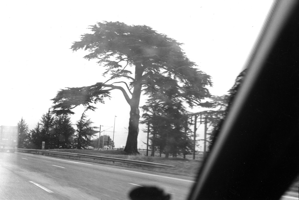Le c&egrave;dre de Roissy - Paris - 1995 (?) Il fut un temps ou je (et nous) prenions beaucoup l'avion. Avant d'arriver &agrave; l'a&eacute;roport de Roissy, je passais toujours devant le c&egrave;dre qui borde l'autoroute, et je ne manquais pas de lui dire un petit &laquo;&nbsp;au revoir&nbsp;&raquo; avant le d&eacute;part. Cette image est un hommage &agrave; Wim Wenders. Dans les ann&eacute;es 90, il a &eacute;crit un livre de textes et de photos qui s'appelle &laquo;&nbsp;Une fois ...&nbsp;&raquo;. Dans ce livre, il y a aussi cette image du c&egrave;dre, que Wenders saluait lors de ses voyages. Il y a aussi une histoire de chien en Australie, qui est un peu la m&ecirc;me que celle de mon chien &agrave; Mar Chiquita...