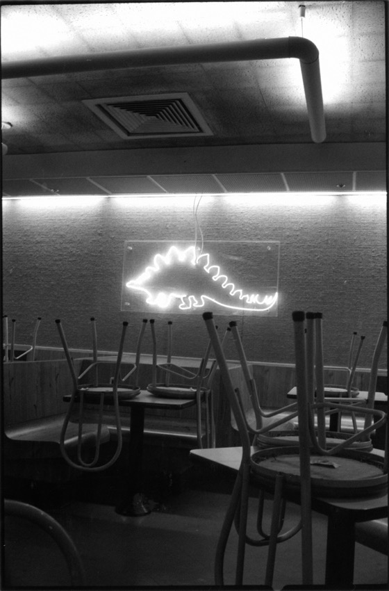 Coney Island, NYC, avril 1997. Je ne me rappelle plus tr&egrave;s bien ce bar, situ&eacute; dans les rues derri&egrave;re la plage de Coney Island. Ce dont je me souviens, par contre, c'est qu'il pleuvait des cordes ce jour-l&agrave;. Un temps id&eacute;al pour se balader sur les planches de la plage de la Grosse Pomme. Et puis, ce dinosaure, que faisait-il l&agrave;&nbsp;??? Comme un &eacute;cho au bar du Museum que nous avions fr&eacute;quent&eacute; la veille, peut-&ecirc;tre. Tout cela sonnait furieusement comme la chanson de Lou Reed.