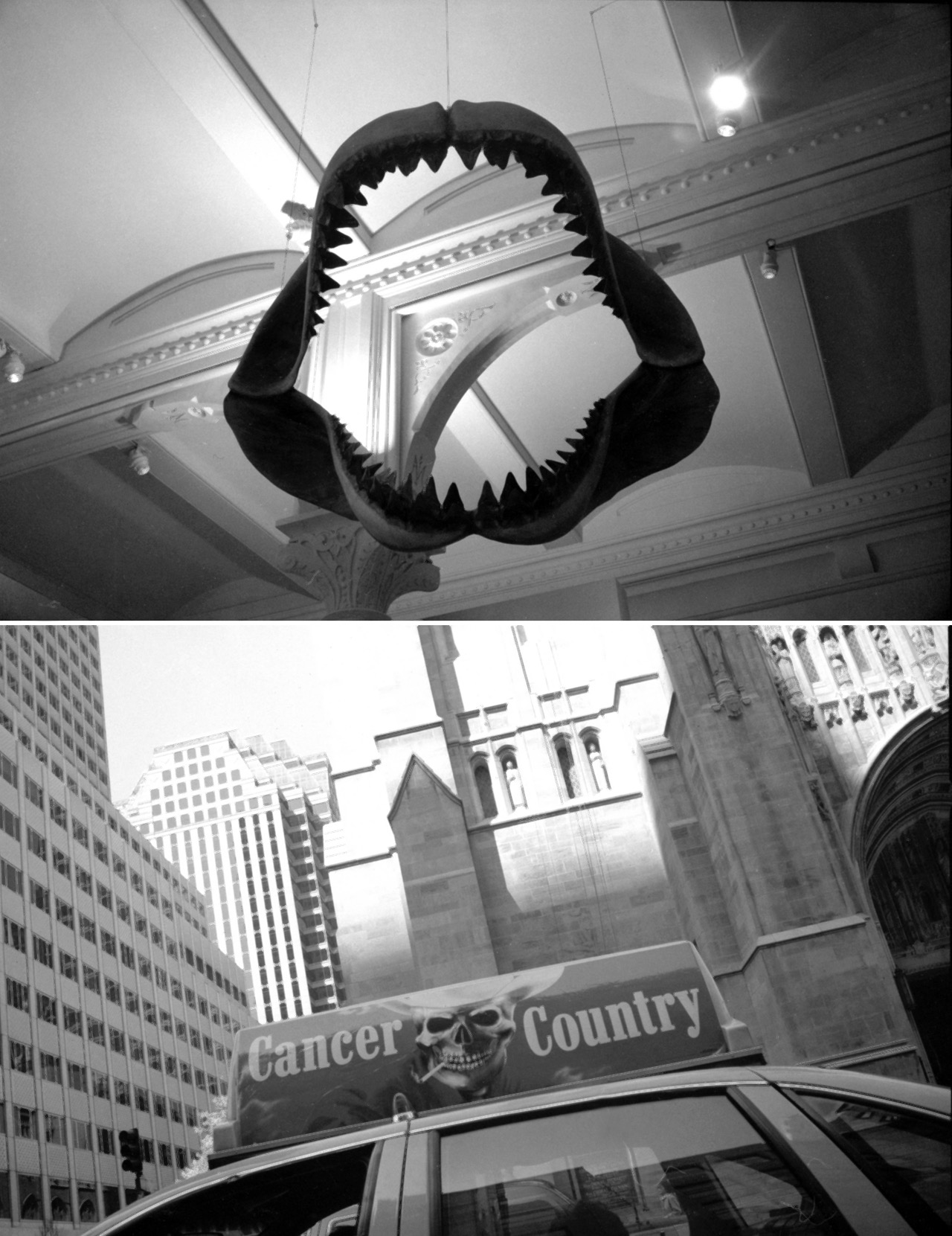 &laquo;&nbsp;Cancer City&nbsp;&raquo; - NYC, avril 1997

&laquo;&nbsp;Jaws&nbsp;&raquo; + &laquo;&nbsp;Cancer City&nbsp;&raquo; &hellip; En ce jour tr&egrave;s sp&eacute;cial pour nos amis Am&eacute;ricains, je leur d&eacute;die ces deux images prises &agrave; New York il y a des ann&eacute;es de cela. Les m&acirc;choires du requin surplombaient les tables de la caf&eacute;t&eacute;ria  du Mus&eacute;um, quant au taxi, je ne sais pas pourquoi il arborait ce pastiche de publicit&eacute; Marlboro... En tous cas, ces deux instantan&eacute;s me vont bien en ce jour d'investiture de Donald Trump ;-)