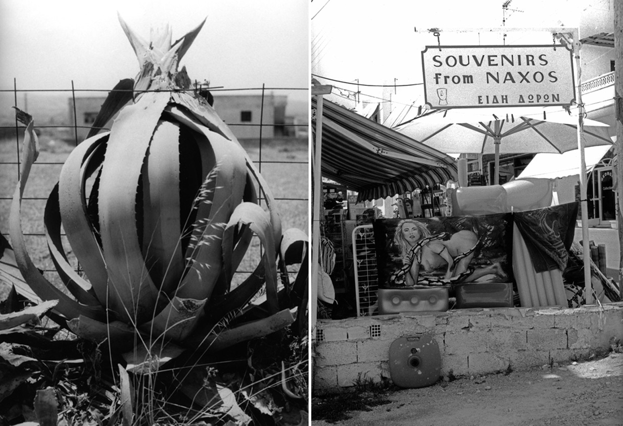 Souvenirs de Naxos &ndash; Cyclades, Gr&egrave;ce &ndash; Mai 1999
Du lourd et du piquant. De temps en temps (mais est-ce vraiment propre &agrave; ce pays?) les Grecs font fort question bon go&ucirc;t. En t&eacute;moigne cette serviette de bains d&eacute;nich&eacute;e dans une boutique &agrave; touristes de Naxos. Pendant longtemps, les jeunes grecques, tout particuli&egrave;rement, avaient une id&eacute;e plut&ocirc;t sp&eacute;ciale de la mode. Aujourd'hui, mondialisation oblige, tout est rentr&eacute; dans l'ordre. Et bien malin celui qui pourrait reconna&icirc;tre &agrave; ses accoutrements un jeune hell&egrave;ne d'un autre europ&eacute;en. En retrouvant ces images d'un Naxos en voie de modernisation, je n'ai pas pu m'emp&ecirc;cher d'associer ce cactus aux formes g&eacute;n&eacute;reuses &agrave; cette na&iuml;ade provocante.
