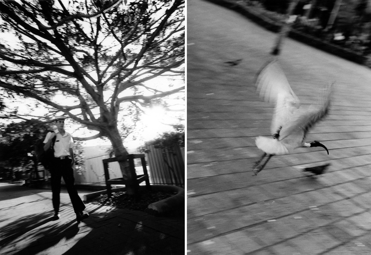 L'oiseau et le marin &ndash; Woolloomooloo et Kings Cross, Sydney &ndash; janvier 2000

Sydney est d&eacute;finitivement une ville fabuleuse. &laquo;&nbsp;Laid back&nbsp;&raquo;, comme on dit. On y croise des businessmen quittant le bureau avec leur planche de surf, des aborig&egrave;nes jouant du didjeridoo au coin de la rue, on peut d&eacute;guster des &laquo;&nbsp;fisherman baskets&nbsp;&raquo; avec les mouettes &agrave; Bondi, ou se goinfrer d'une barre de Mars frite &agrave; l'huile (mais si!) en regardant les vagues. On y rencontre aussi des marins en goguettes qui trainent sur les quais de Woolloomooloo, et des ibis pas farouches sur les places de Kings Cross. Cool, je vous dit. Voil&agrave; bien une ville o&ugrave; j'ai aim&eacute; vivre. 
