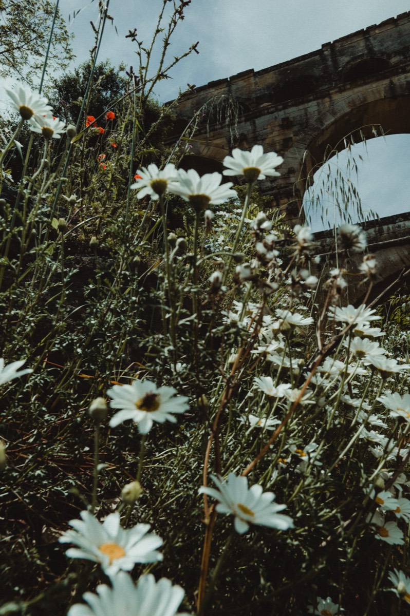 Pont du Gard