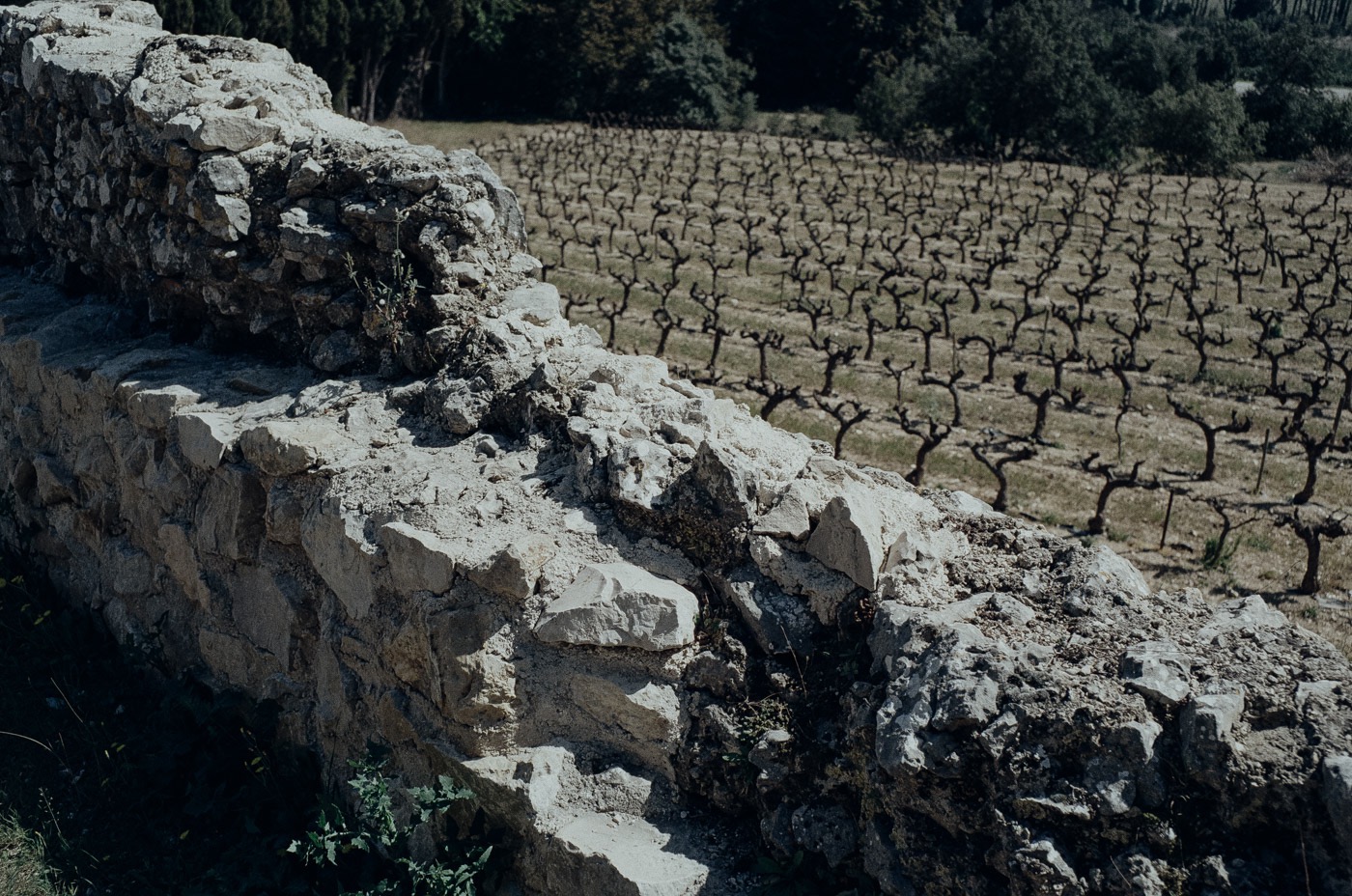 Mur romain, Pujaut