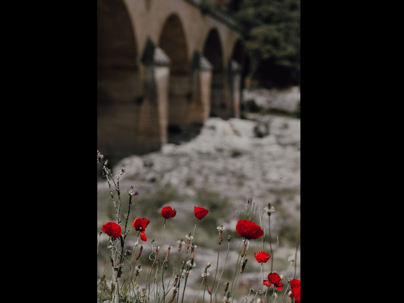 Pont du Gard