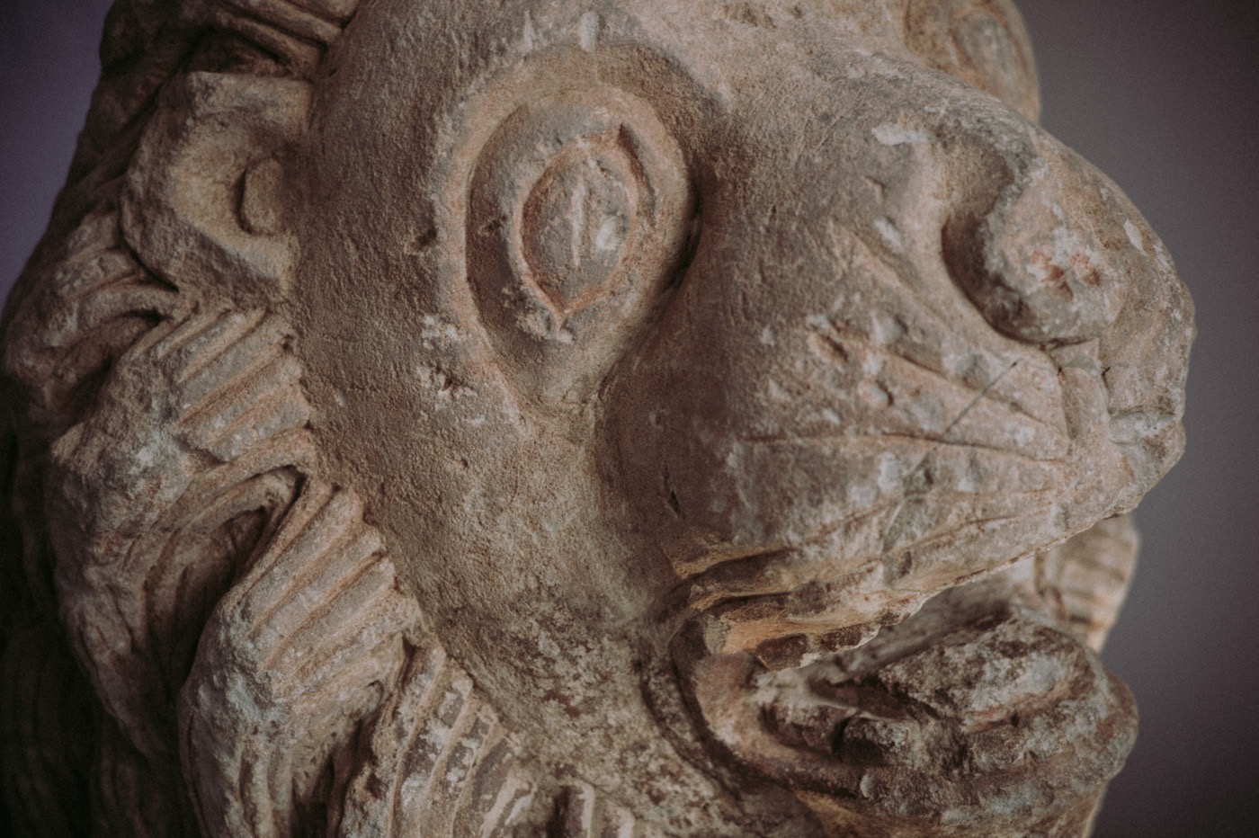 Musée de l'Arles Antique