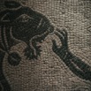 leones-7.jpg