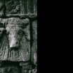 leones-2.jpg