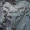 leones-14.jpg