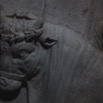 leones-8.jpg