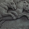 leones-21.jpg