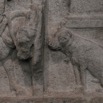 leones-22.jpg