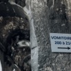 intramuros-26.jpg