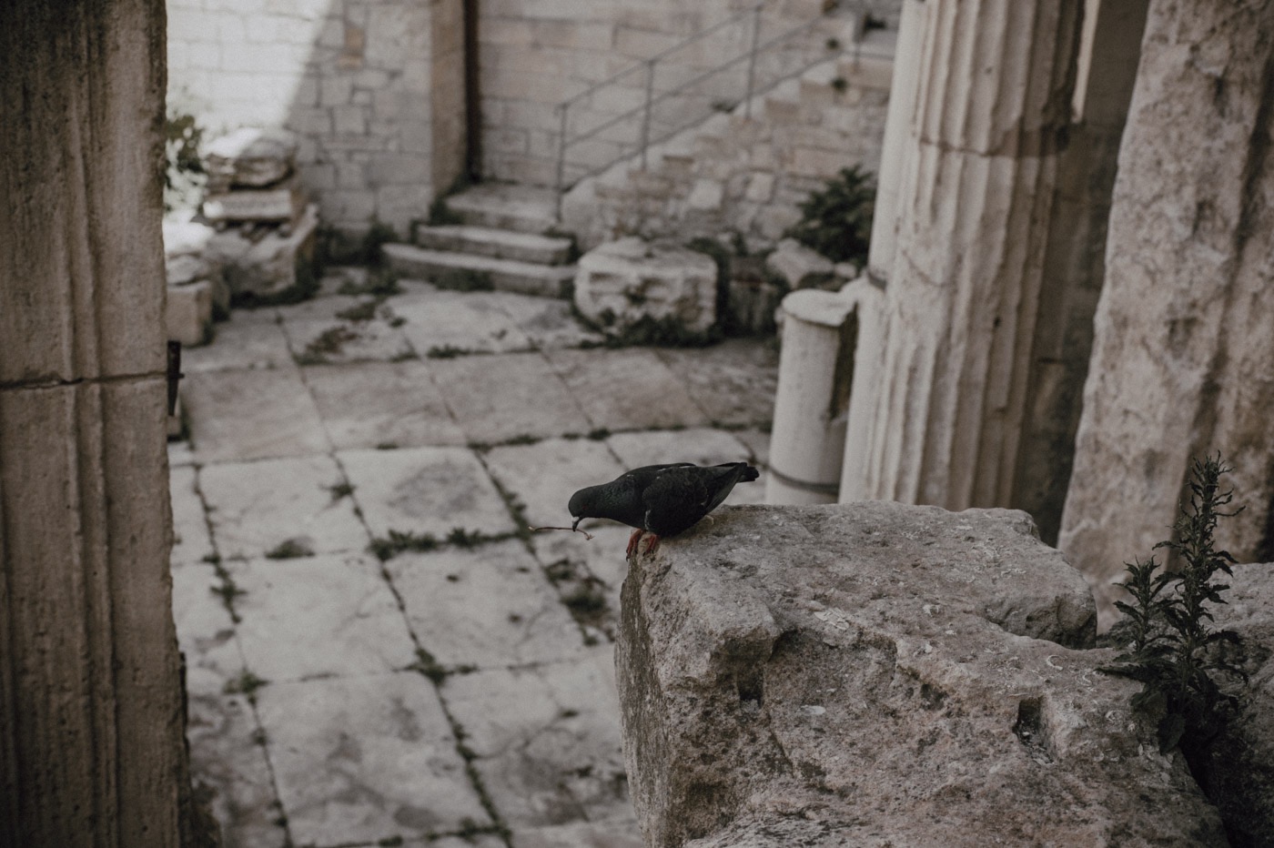 Arles, Forum