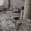 intramuros-30.jpg