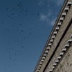 intramuros-70.jpg