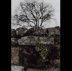 ViaRomanaBT-549.jpg